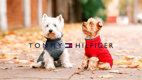 linea de productos de tommy hilfiger